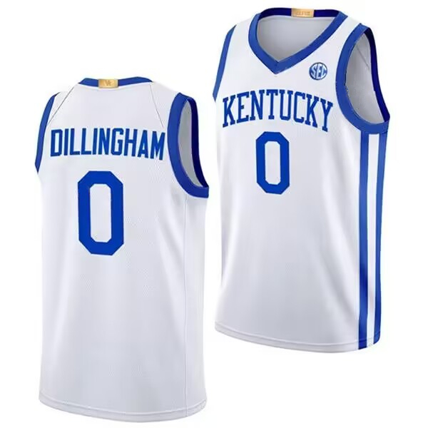 Men's Kentucky Wildcats #0 Robert Dillingham White Stitched Basketball Jersey