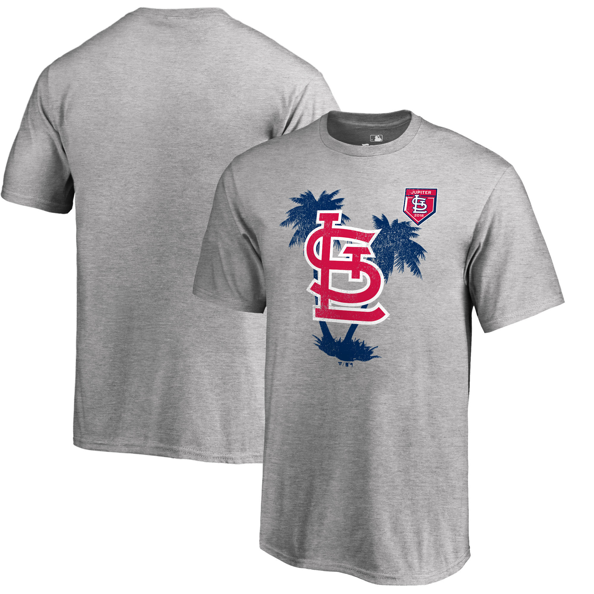 Men's St. Louis Cardinals Fanatics Branded 2018 MLB Spring Training ...